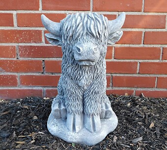 Highland Cow - large