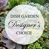 Designers Choice Dish Garden