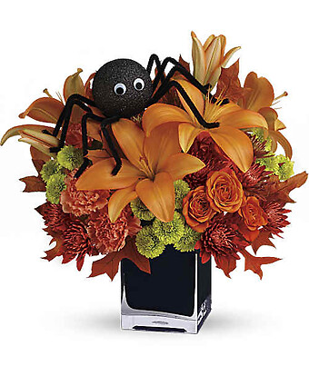 Spooky Spider