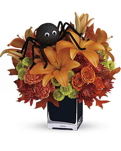 Spooky Spider